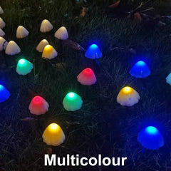 47738278805819|47738278838587